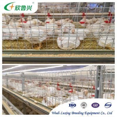 Feeding Systems Brooding Equipment Bangladesh Breeders Cages Poultry Battery Cage for Nigerian Farm