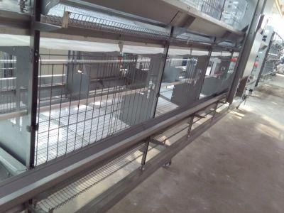 Customized Layer Chicken Cages for Kenya Poultry Farm