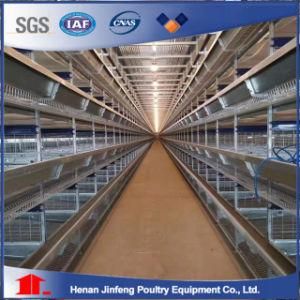 Jinfeng Automatic Poultry Farm Equipment Battery Egg Layer Chicken Cage for Laying Hens