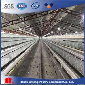 Design Modern Poultry Farms Equipment Automatic Galvanized Chicken Cage