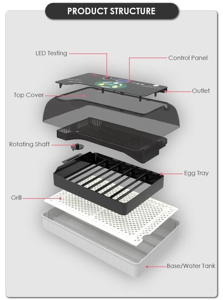 2021 New Arrival LED Testing Function Ew9-20 Egg Incubator for Hatching 20 Chicken Eggs