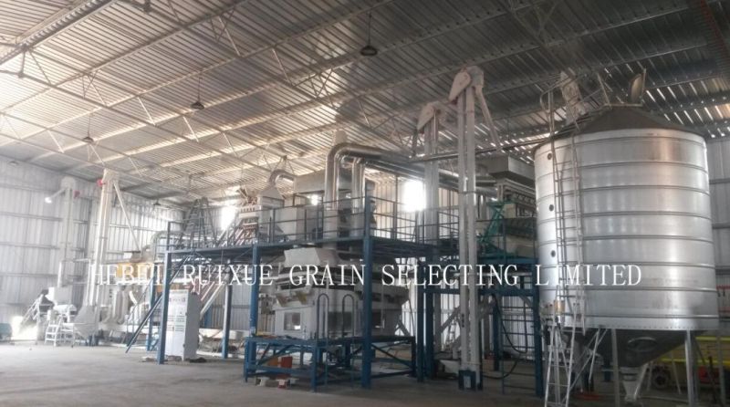 Quinoa Seed Cleaning and Processing Plant (5X)