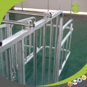 Low Price and Fine Supplier Pig Farm Farrowing House for Sale Farrowing Stall