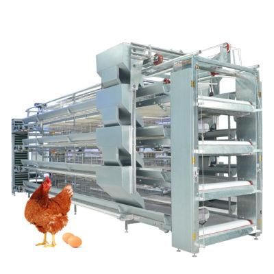 RETECH automatic H type poultry farm layer chicken cages
