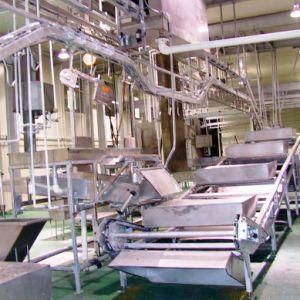 Buffalo Meat Slaughterhouse with Slaughter Equipment Halal Style