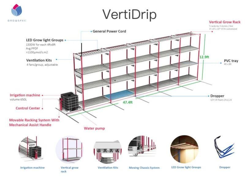 Advanced Indoor Greenhouse Vertical Dripping Irrigation Farming System