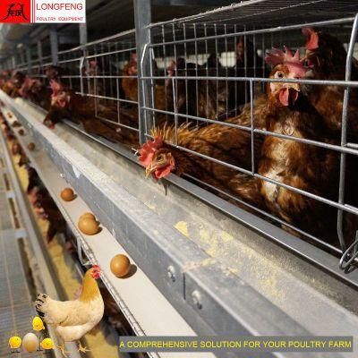 Computerized Local After-Sale Service in Asia Chicken Layer Battery Cage Poultry Farm Equipment