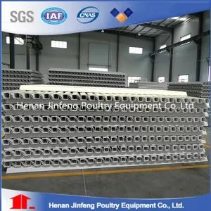 Design Chicken Egg Poultry Farm Equipment for Sale