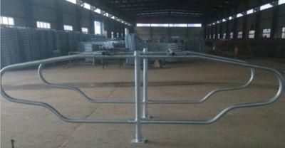 Hot DIP Galvanized Dairy Cow Comfortable Stalls Cow Cubicles for Sale