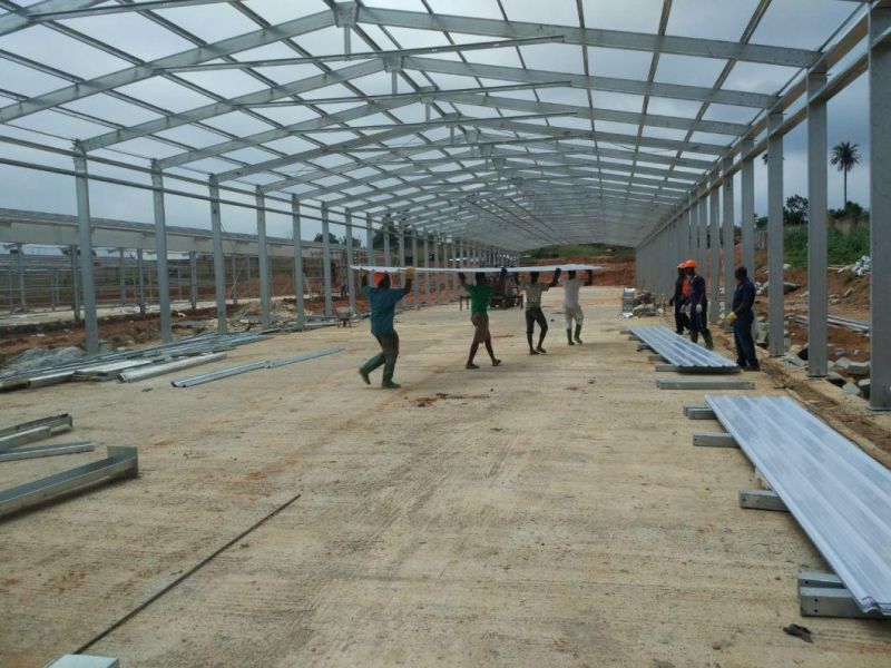 Turkmenistan Prefab Steel Structure Poultry House