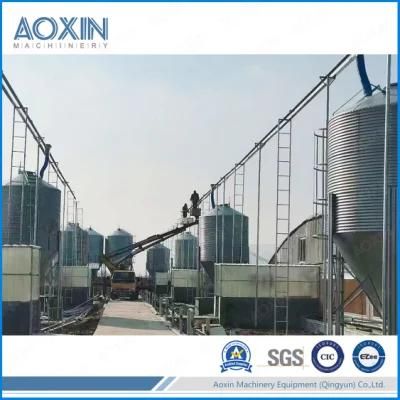 Hot Galvanized Feed Storage Silo Animal Feed Poultry Chicken Livestock Pig Feed Silos