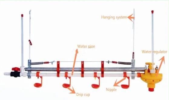 Ground Poultry Raising Equipment for Chicken Broiler