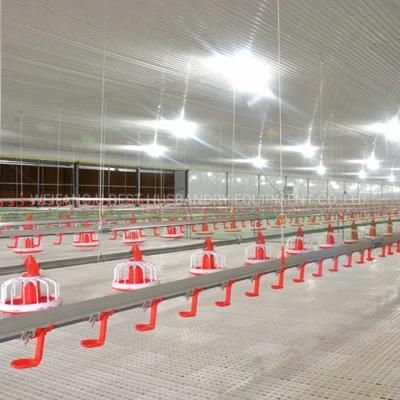 Modern Automatic Poultry Farming Equipment for Chicken Broiler