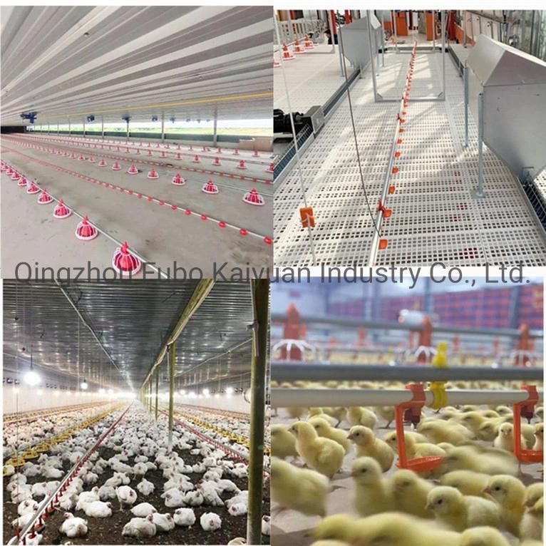 Automatic Farming Feeding & Drinking Poultry Equipment for Broiler/Chicken House/Duck House