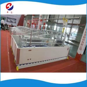 High Quality Cheap Price / Automatic Farrowing Stall / Pig Farm Farrowing Crate/Livestock Machinery