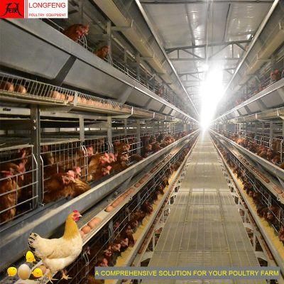 Mature Design, Durable and Sturdy Automatic Chicken Farming Poultry Farm Equipment Layer Cage