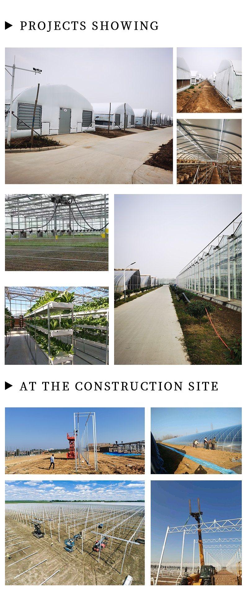 Agriculturel Automatic Irrigation and Fertilization System