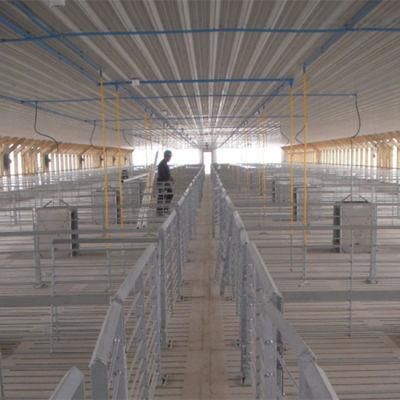 Factory Made Fattening Crate for Pig