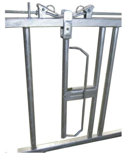 Cow Headlock with Hot-Galvanized Steel Pipe Cow Equipment