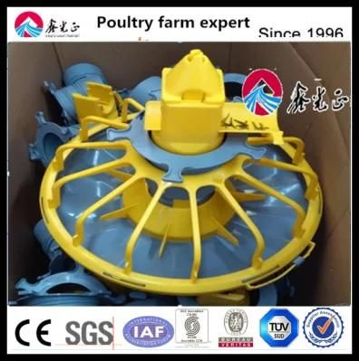 Hot Sale Poultry Farm House Design Automatic Equipment for Broilers and Breeders