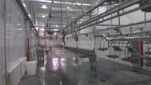 Sheep Abattoir Double Track Carcass Hanging Pulley Hooks