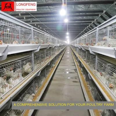 China Local After-Sale Service in Asia Poultry Feeding Equipment Chicken Cage