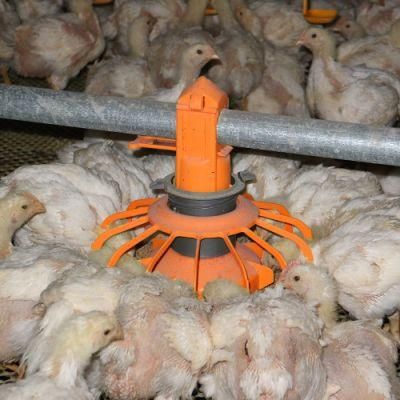 Automatic Chicken Feeder Poultry Farm Equipment Pan Feed System for Brolier