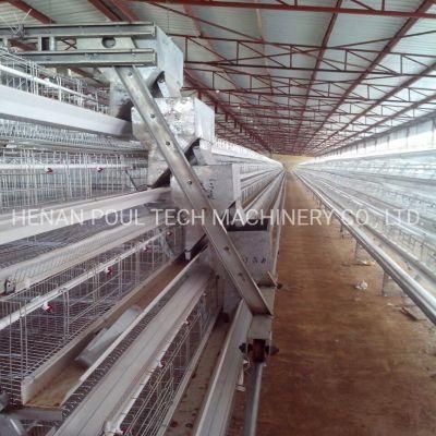Egg Hens Layer Cage with Collection System for Poultry Farm