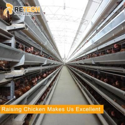 Automatic layer chicken farms poultry cages manufacturers
