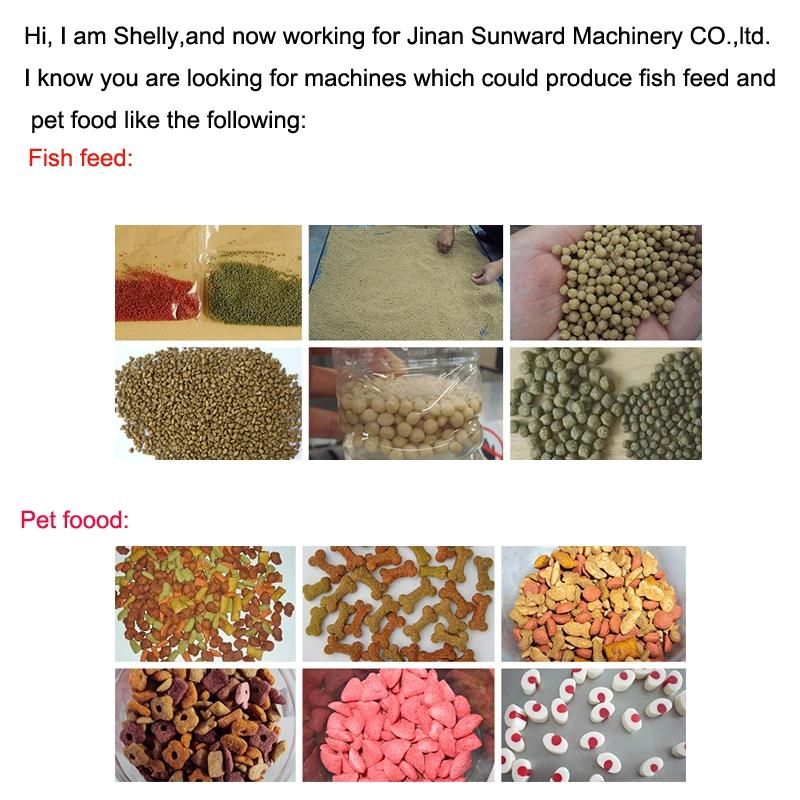 Full Automatic Stainless Steel Fish Feed Extruder Machine Animal Food Processing Plant