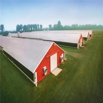 High Quality Factory Price Automatic Steel Poultry Equipment with Certificates
