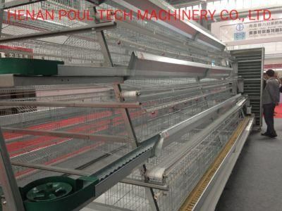 Hot Selling Type a Layer Cage Raising Equipment for Layer Chickens House
