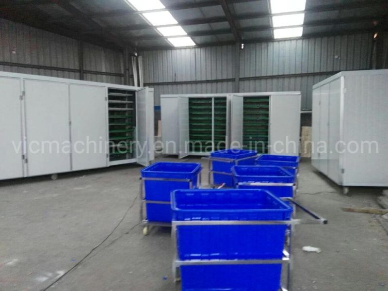 Professional Hydroponic Fodder Growing Cabinet With Ozone Machine