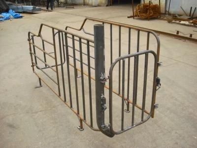 Pig Farming Equipment Durable Gestation Stalls