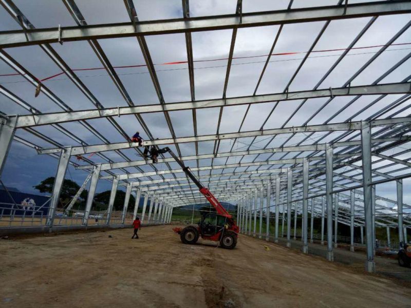 Prefabricated Warehouse Workshop Shed Light Steel Structure Buildings