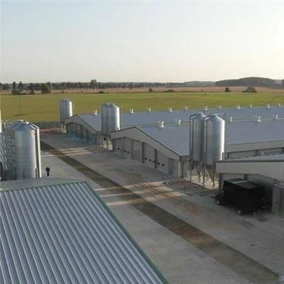 Low Cost Prefab/Prefabricated Customized Steel Chicken House with Equipment