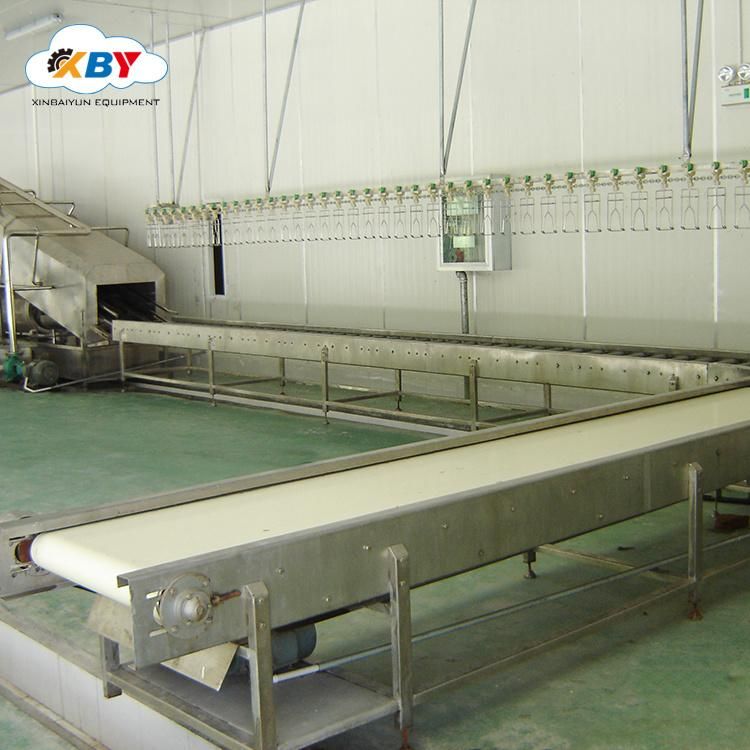 1000/2000/3000/5000bph Poultry Slaughtering Machine / Poultry Processing Equipment Plant