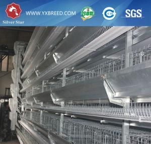 Best Hot Galvanized Chicken Cage From China Silver Star