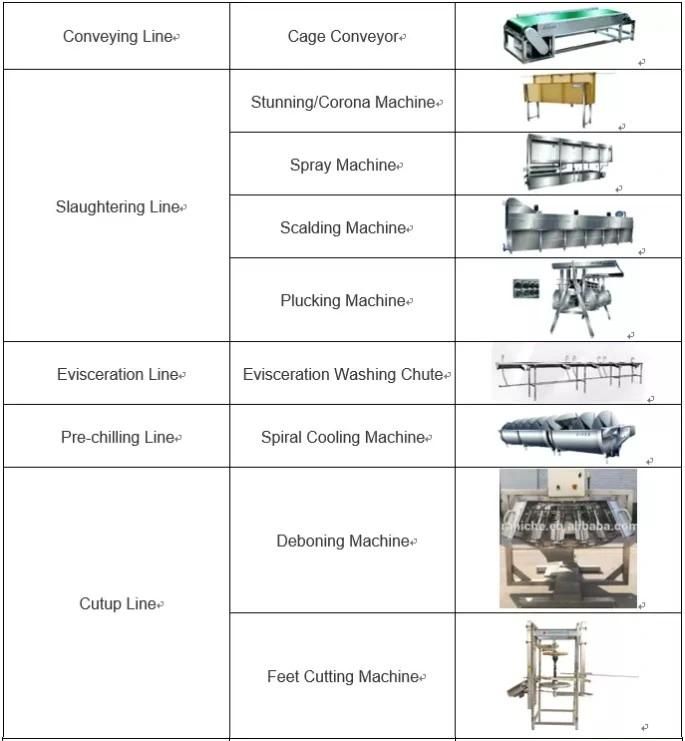 Halal Chicken Slaughter Line Poultry Machine Chicken Meat Processing Equipment