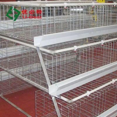 Modern Farm Battery Chicken Layer Cage with Automatic Feeding System
