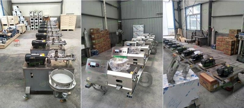 Stainless Steel Fully Automatic Screw Oil Extractor Commercial Sesame Peanut Walnut Oil Processing Machine Oil Presser