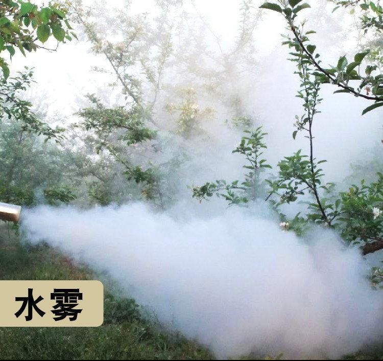 Gasoline Pulsed Power Thermal Mist Fog Blower Fogging Machine