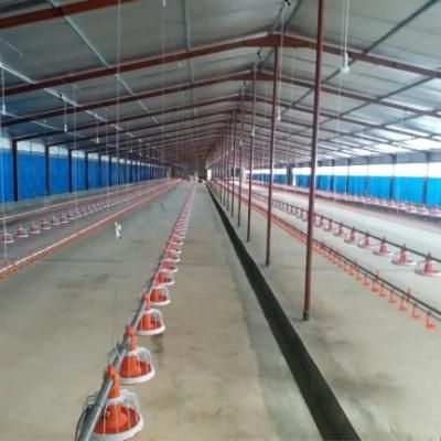 Chicken Farm House Automatic Pan Feeder Line Price Broiler Feed Auger Breeding Feeding Machine