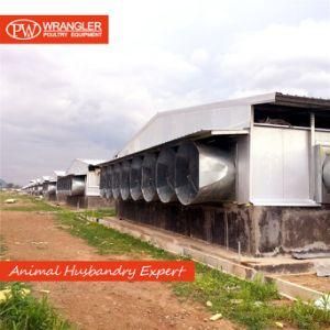 Complete Poultry Farm Equipment/Broiler Farming Equipment