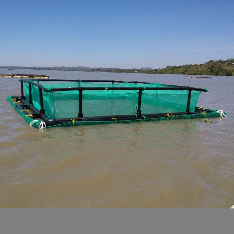 PE Bracket Square HDPE Cage for Fish Farming