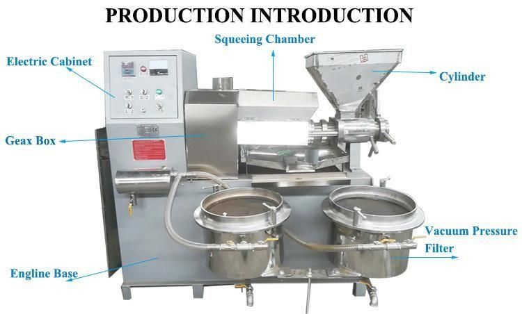 High Quality Presser Screw Cold Extraction Peanut Soybean Olive Oil Press Machine