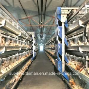 Automatic Poultry Cage Farm for Broiler and Layers