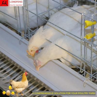 1 Year Warranty Longfeng China Poultry Farm Equipment Egg Chicken Cage in