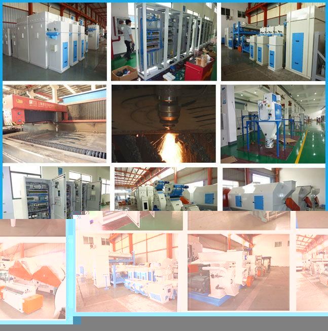 Fish Sturgeon Feed Pellet Making Machine