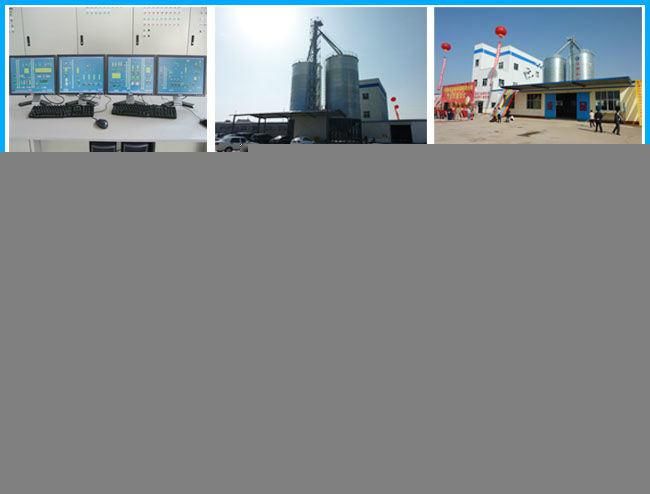 Best Selling Extruding Dog Feed Pellet Machine